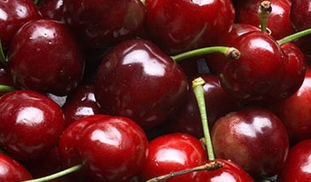 ciliegie di vignola
